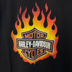 Vintage HARLEY DAVIDSON Tshirt