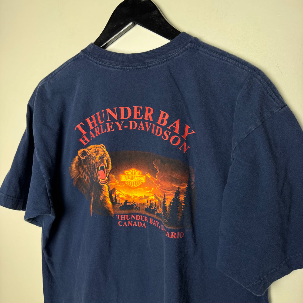 Vintage HARLEY DAVIDSON Tshirt