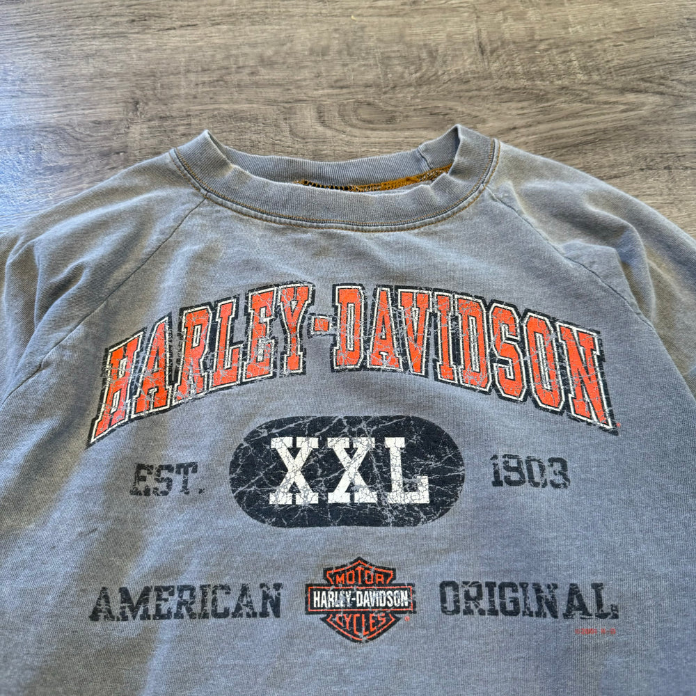 Vintage HARLEY DAVIDSON Long Sleeve Tshirt