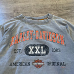 Vintage HARLEY DAVIDSON Long Sleeve Tshirt