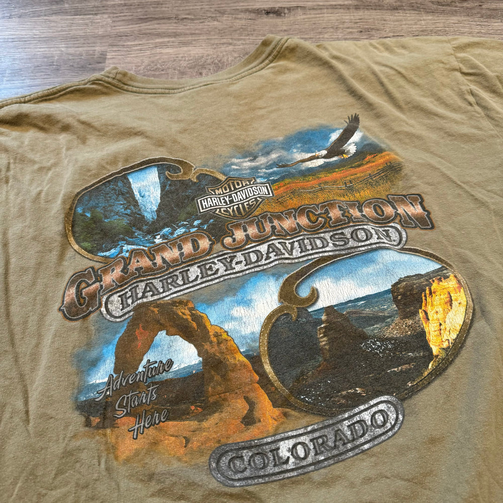 Vintage HARLEY DAVIDSON Colorado Tshirt