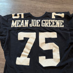 Rare Vintage 1970's NFL Pittsburgh STEELERS Mean Joe Greene Tshirt