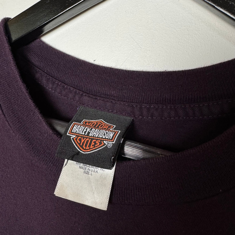 Vintage HARLEY DAVIDSON Skull Tshirt