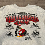 Vintage 90's YOUNGSTOWN STATE University Varsity Sweatshirt