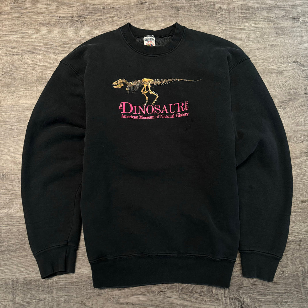 Vintage 90's DINOSAUR Sweatshirt