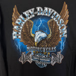 HARLEY DAVIDSON Lightning Long Sleeve Tshirt