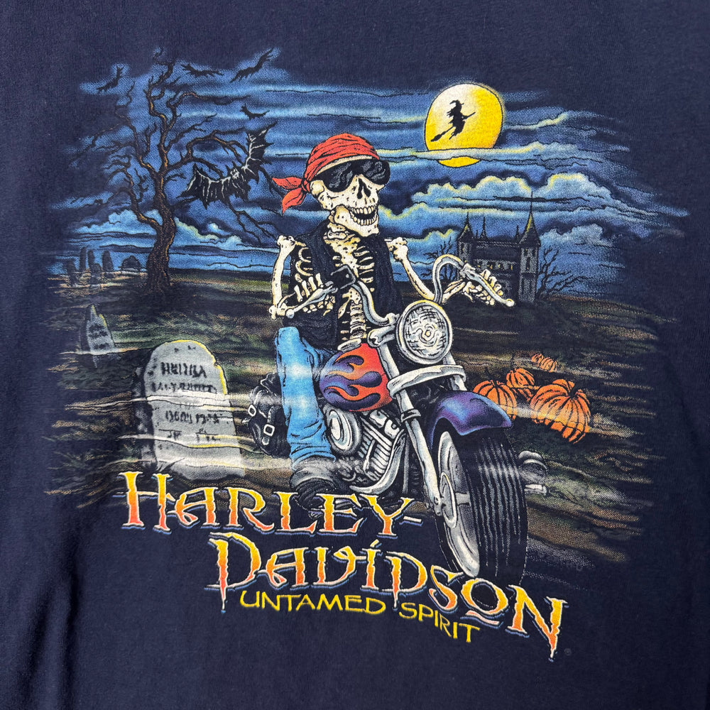 Vintage HARLEY DAVIDSON Long Sleeve Tshirt