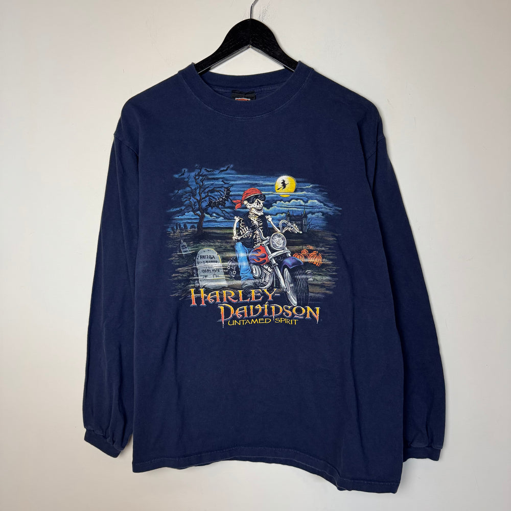 Vintage HARLEY DAVIDSON Long Sleeve Tshirt