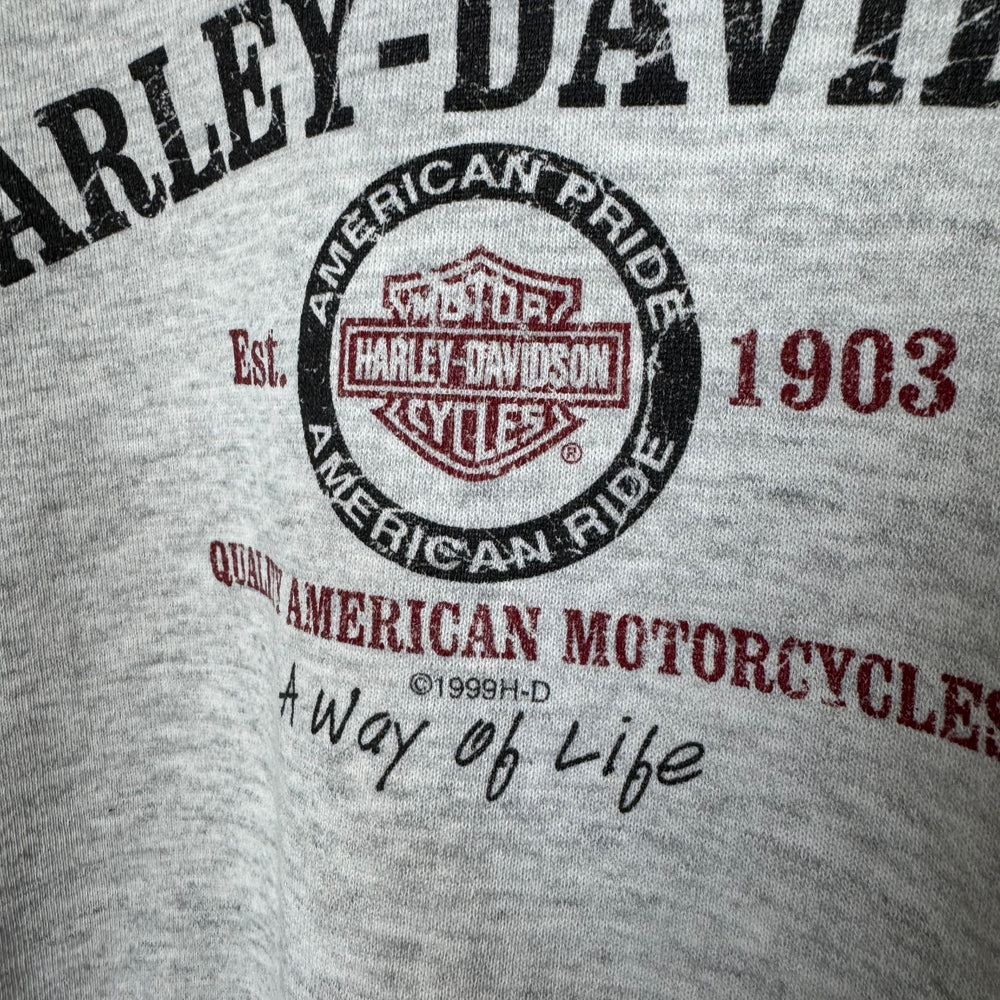Vintage 1999 HARLEY DAVIDSON Hoodie Sweatshirt