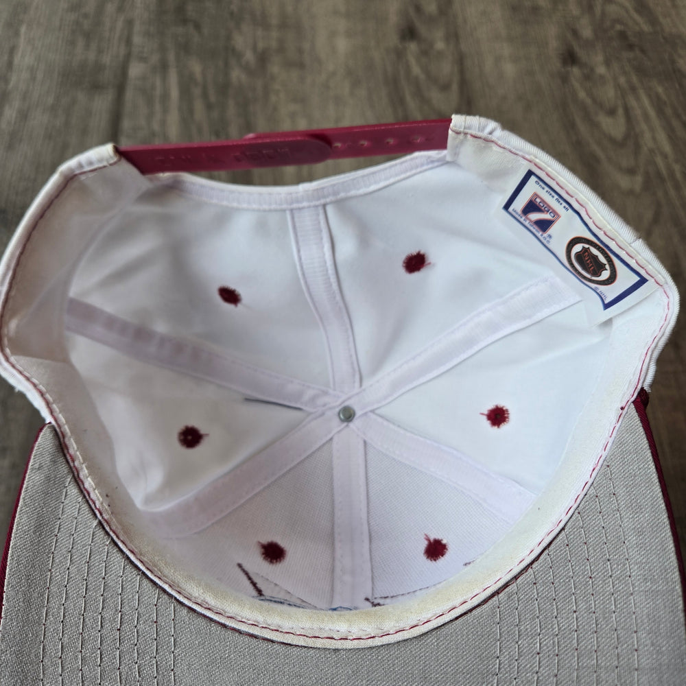 Vintage 90s Colorado AVALANCHE Logo Athletic Shark Tooth Snapback Twill