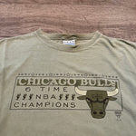 Vintage 90's NBA Chicago BULLS Tshirt
