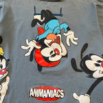 Vintage 90's ANIMANIACS Tshirt